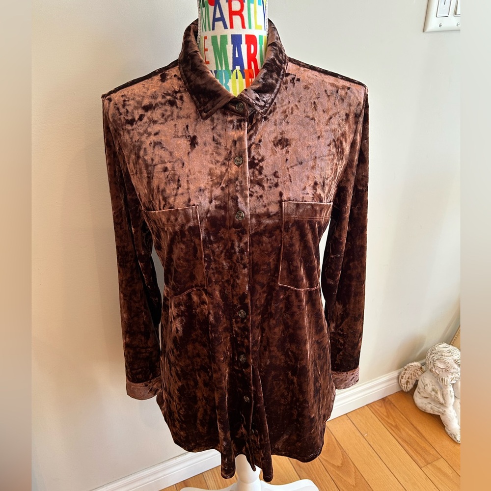 Cleo Crushed Velvet Button Down Shirt in Rich Brown - Picture 2 of 8